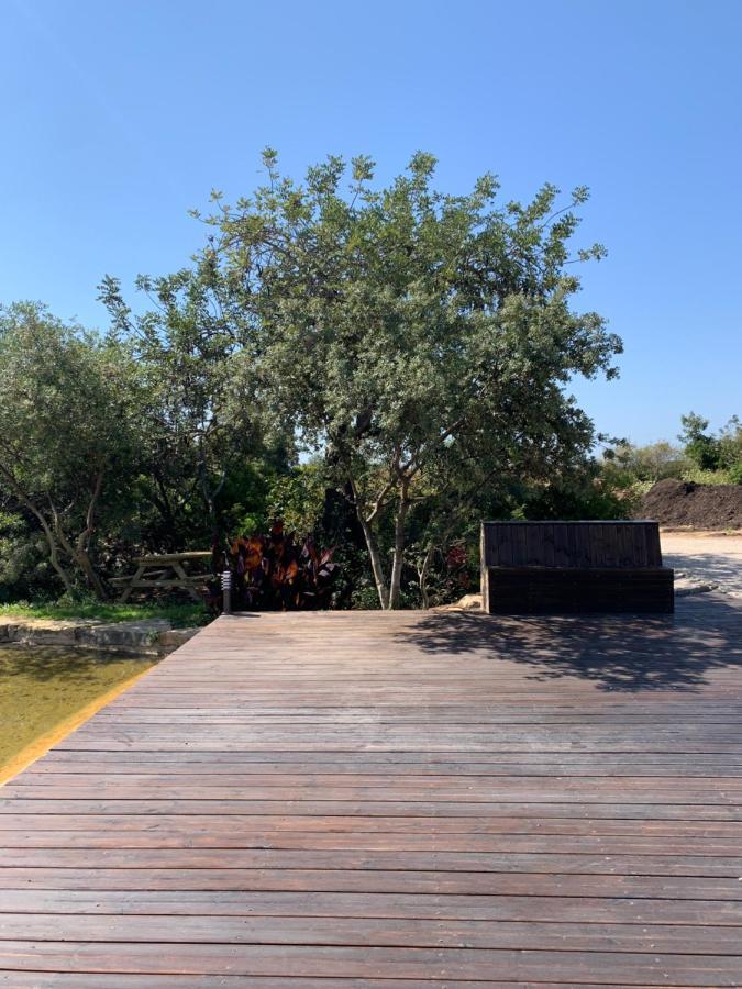 Affittacamere Casa Branca Tavira Esterno foto